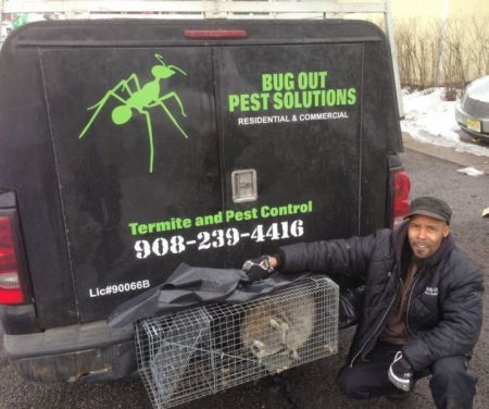 Bugout Pest Solutions LLC